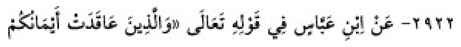 Sünen-i Ebû Dâvûd Arabic hadith text