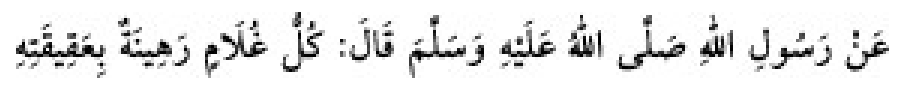 Sünen-i Ebû Dâvûd Arabic hadith text