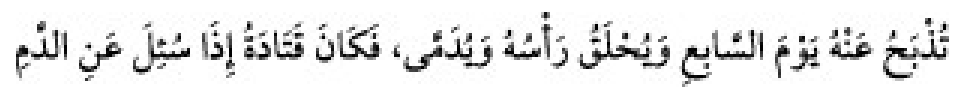 Sünen-i Ebû Dâvûd Arabic hadith text