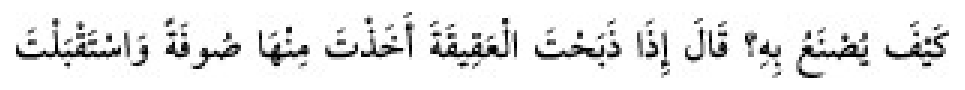 Sünen-i Ebû Dâvûd Arabic hadith text