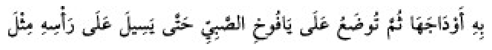 Sünen-i Ebû Dâvûd Arabic hadith text