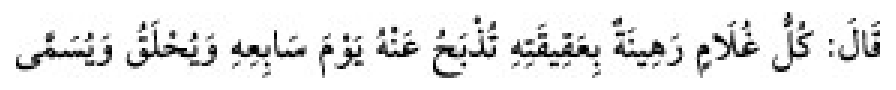 Sünen-i Ebû Dâvûd Arabic hadith text
