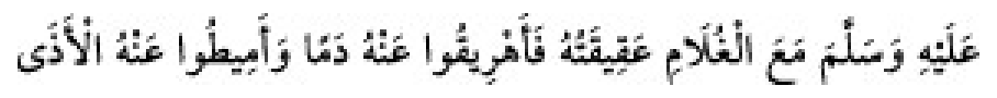 Sünen-i Ebû Dâvûd Arabic hadith text