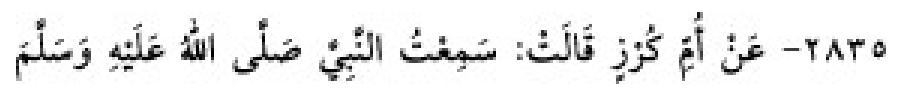 Sünen-i Ebû Dâvûd Arabic hadith text