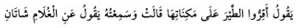 Sünen-i Ebû Dâvûd Arabic hadith text