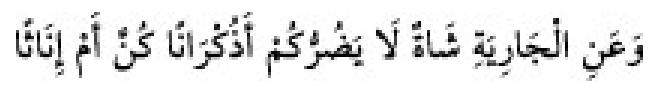 Sünen-i Ebû Dâvûd Arabic hadith text