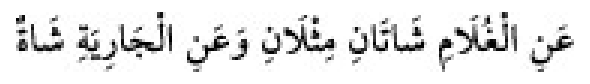 Sünen-i Ebû Dâvûd Arabic hadith text