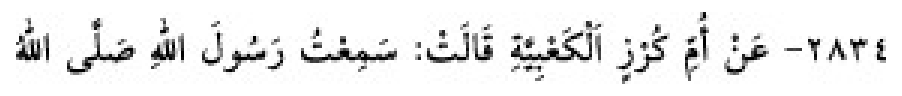 Sünen-i Ebû Dâvûd Arabic hadith text