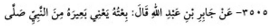 Sünen-i Ebû Dâvûd Arapça hadis metni