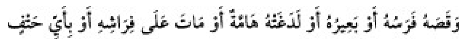 Sünen-i Ebû Dâvûd Arapça hadis metni