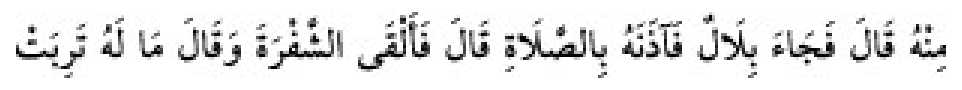 Sünen-i Ebû Dâvûd Arapça hadis metni