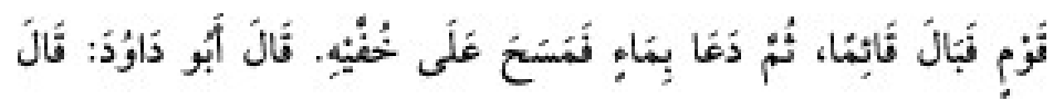 Sunan Abū Dāwūd Arabic hadith text