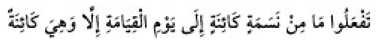 Texto árabe del hadiz de Sunan Abū Dāwūd