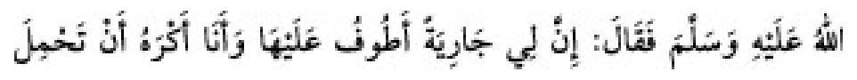 Texto árabe del hadiz de Sunan Abū Dāwūd