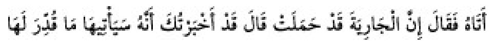 Texto árabe del hadiz de Sunan Abū Dāwūd