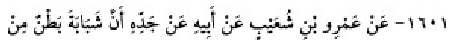 Texto árabe del hadiz de Sunan Abū Dāwūd