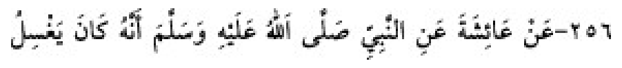 Texto árabe del hadiz de Sunan Abu Dawud
