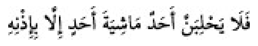 Texto árabe del hadiz de Sunan Abū Dāwūd