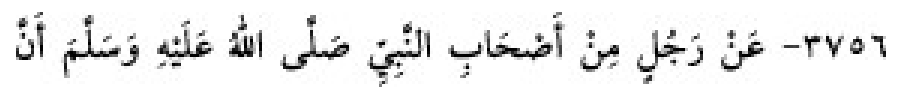 Texto árabe del hadiz de Sunan Abu Dawud