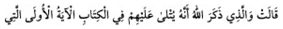 Texto árabe del hadiz de Sunan Abū Dāwūd
