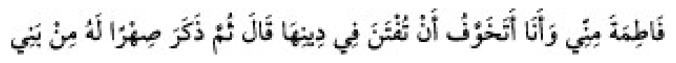 Texto árabe del hadiz de Sunan Abū Dāwūd