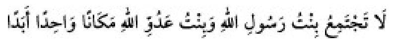 Texto árabe del hadiz de Sunan Abū Dāwūd