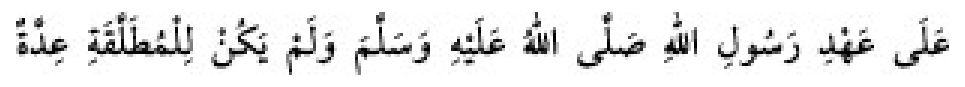 Texto árabe del hadiz de Sunan Abū Dāwūd