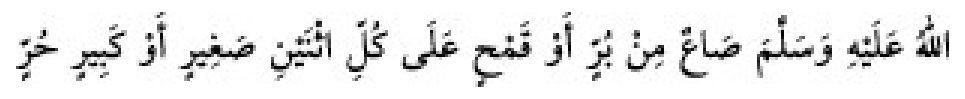Texto árabe del hadiz de Sunan Abū Dāwūd