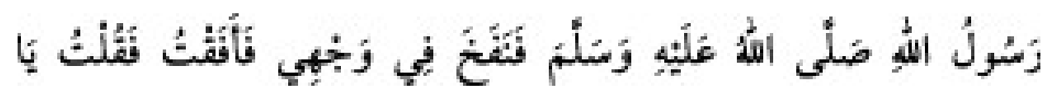 Sünen-i Ebû Dâvûd Arabic hadith text