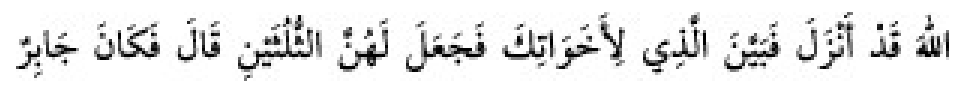 Sünen-i Ebû Dâvûd Arabic hadith text
