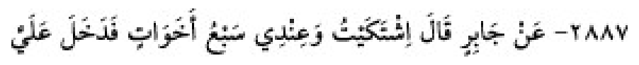 Sünen-i Ebû Dâvûd Arabic hadith text