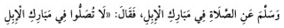 Texto árabe del hadiz de Sunan Abu Dawud