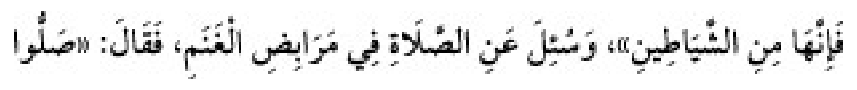 Texto árabe del hadiz de Sunan Abu Dawud