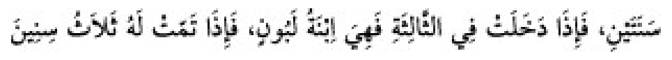 Texto árabe del hadiz de Sunan Abū Dāwūd