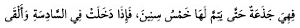 Texto árabe del hadiz de Sunan Abū Dāwūd