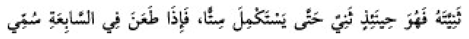 Texto árabe del hadiz de Sunan Abū Dāwūd