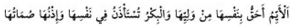 Texto árabe del hadiz de Sunan Abū Dāwūd