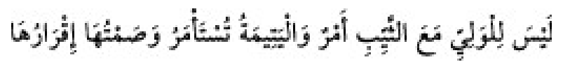 Texto árabe del hadiz de Sunan Abū Dāwūd
