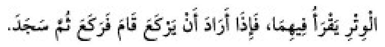 Texto árabe del hadiz de Sunan Abu Dawud