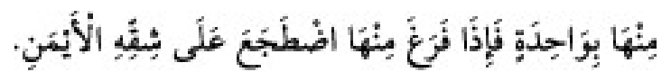 Texto árabe del hadiz de Sunan Abu Dawud
