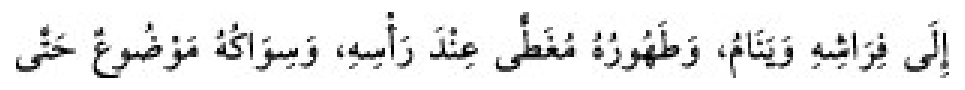 Texto árabe del hadiz de Sunan Abu Dawud