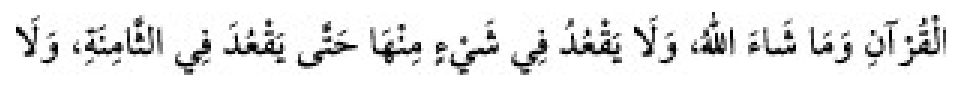 Texto árabe del hadiz de Sunan Abu Dawud