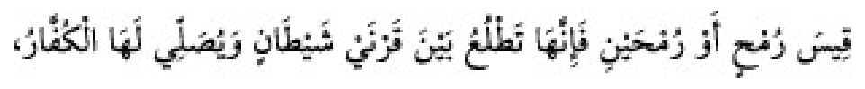 Texto árabe del hadiz de Sunan Abu Dawud