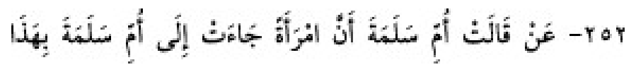 Texto árabe del hadiz Sunan Abu Dawud