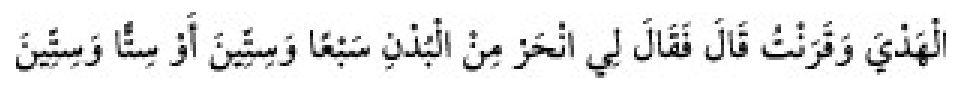 Texto árabe del hadiz de Sunan Abū Dāwūd