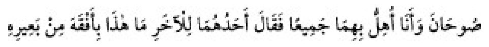 Texto árabe del hadiz de Sunan Abū Dāwūd