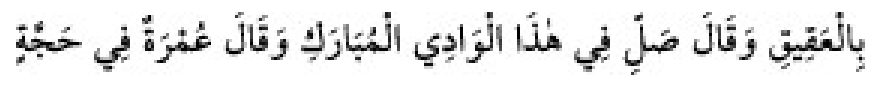 Texto árabe del hadiz de Sunan Abū Dāwūd