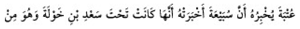 Texto árabe del hadiz de Sunan Abū Dāwūd