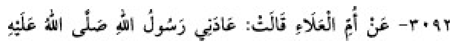 Texto árabe del hadiz de Sunan Abu Dawud