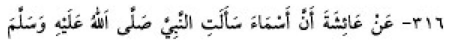 Texto árabe del hadiz de Sunan Abu Dawud